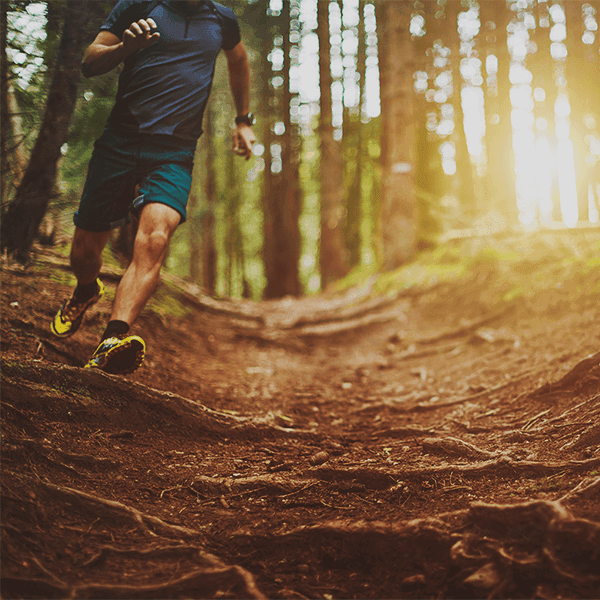 Produktbilledet kan ikke findes. Lad os løbe hen og hente det!
